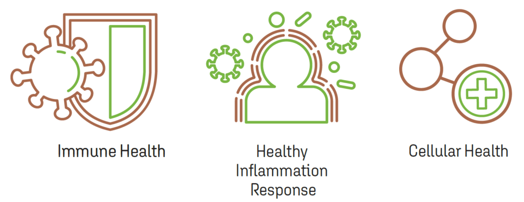 Infographic with icons for Immune Health, Healthy Inflammation Response, and Cellular Health