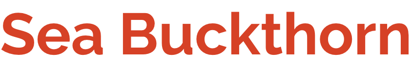 Logo: Sea Buckthorn