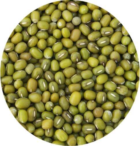 Photo of mung beans