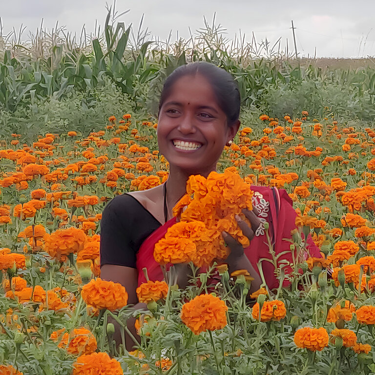 Woman in Marigold field holding up flowers and smiling.
