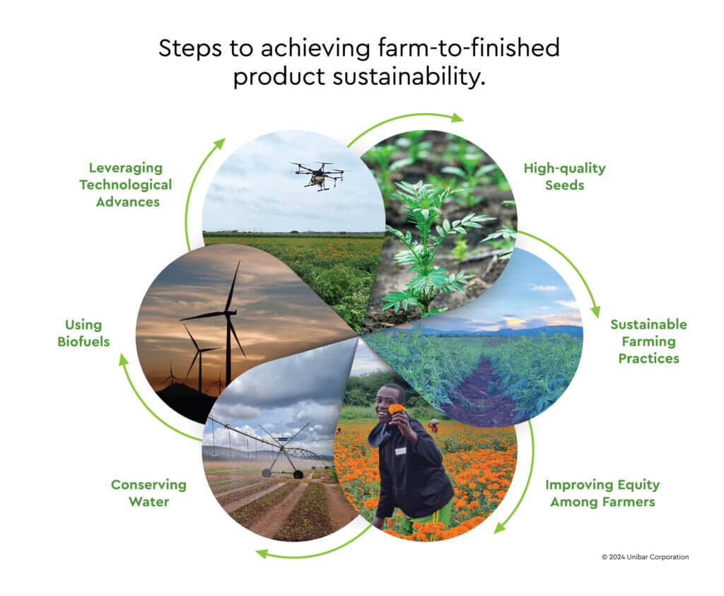 Diagram showcasing steps to achieving farm-to-finished product sustainability, featuring six key areas: leveraging technological advances (with an image of a drone flying over a field), high-quality seeds (showing a close-up of young plants), sustainable farming practices (with a large, well-maintained field), improving equity among farmers (featuring a farmer holding a flower), conserving water (with an irrigation system in use), and using biofuels (with a wind turbine in a field).